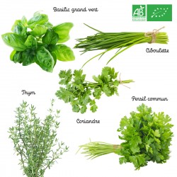 Coffret 30 aromates bio -...