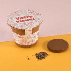 Kit RSE fleurs à semer pour...