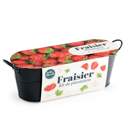 Jardinière / balconnière fraisiers
