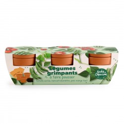 Kit jardinage légumes...