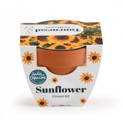 Mini kit jardinage tournesol