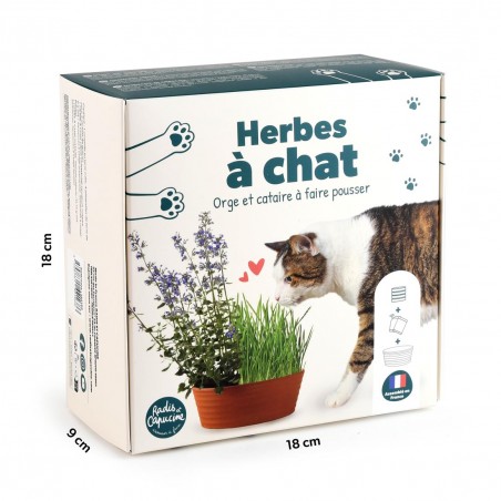Coffret herbe à chat