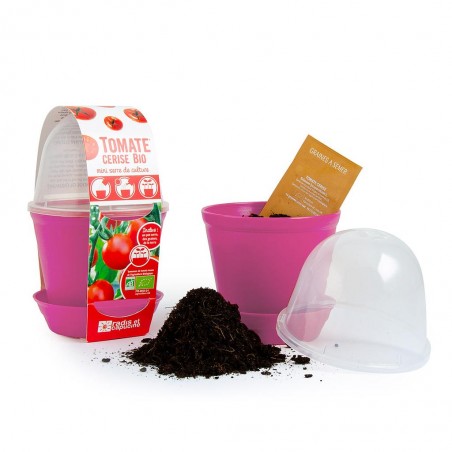 Pot cloche de culture Tomate cerise bio