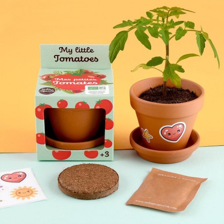 Mes petites tomates à semer jardinage enfant 8 cm