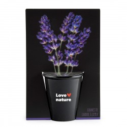 Kit de culture pot black 6...