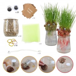 Coffret 10 tetes a pousser...