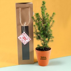 Sapin de Noël à offrir