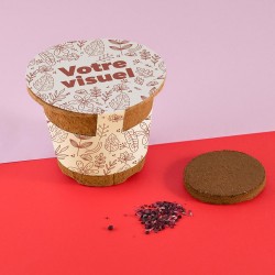 Kit RSE reforestation arbre...