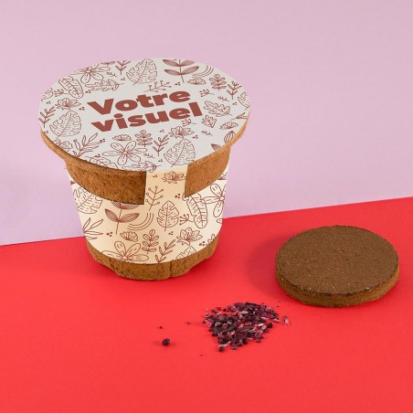 Kit RSE reforestation arbre à semer