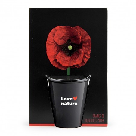 Kit de culture pot black 6 cm - Coquelicot