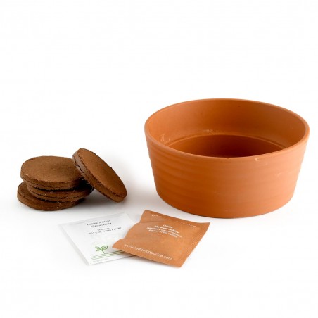 Coffret herbe à chat