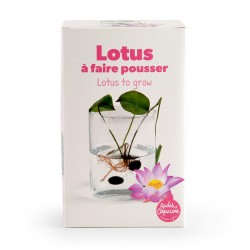 Coffret de culture Lotus...
