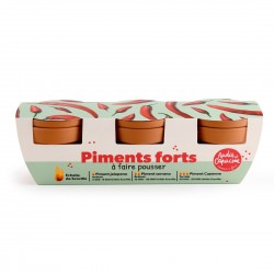 Kit jardinage piments –...