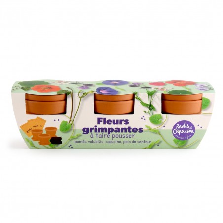 Climbing Flower Gardening Kit