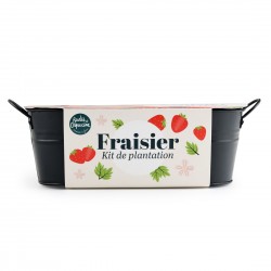 Jardinière / balconnière...