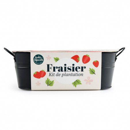 Planters / Balcony planters for strawberries