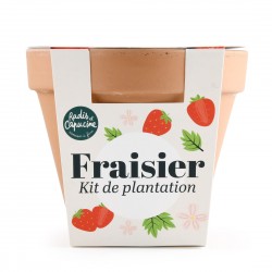 Pot en terre cuite fraisier
