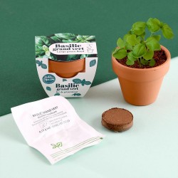 Mini kit jardinage basilic