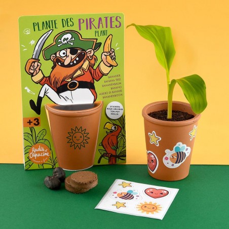 kit jardinage enfants pirate - Bananier