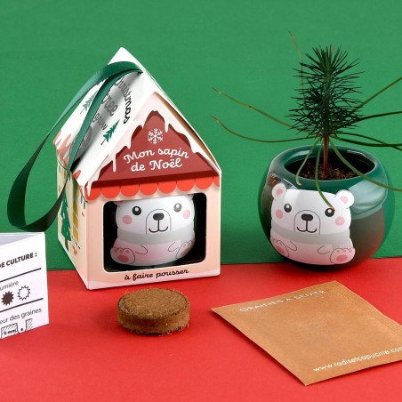 Maison Boule de Noël - Epicea