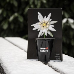 Kit de culture pot black 6...