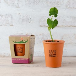 Kit de plantation "Tu me...