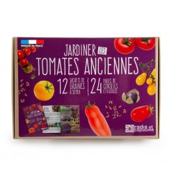 Coffret 12 sachet tomates anciennes