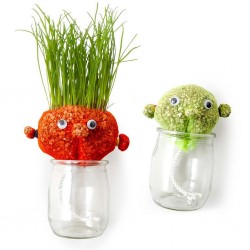 Coffret anniversaire 10 Mr...