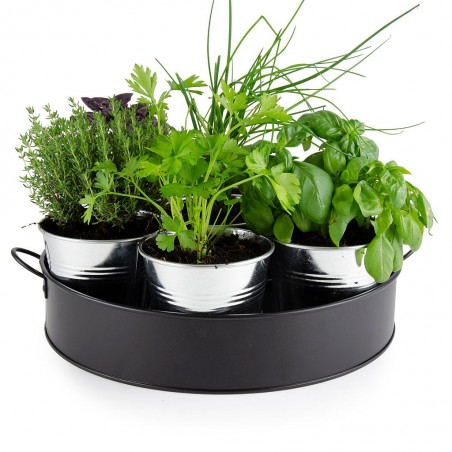 Plateau 7 pots aromates BIO