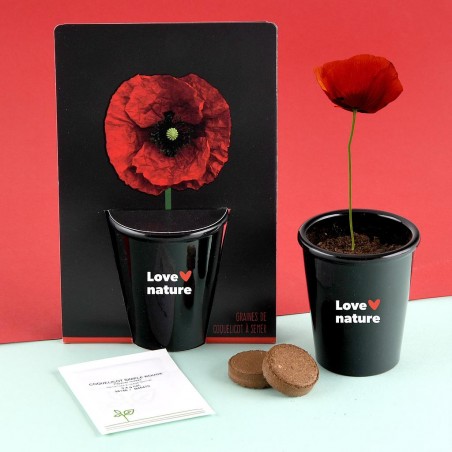 Kit de culture pot black 6 cm - Coquelicot