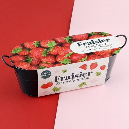 Jardinière / balconnière fraisiers