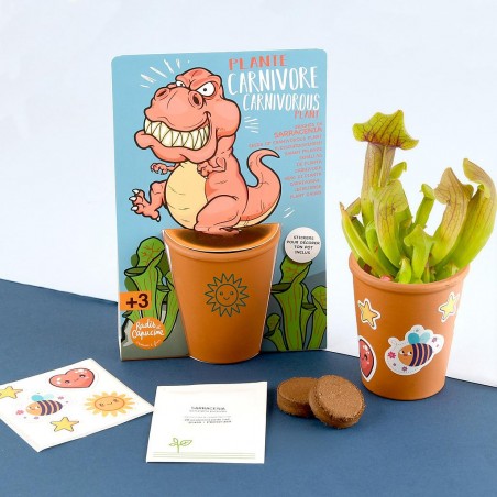 Kit de jardinage T-rex pour enfants plante carnivore