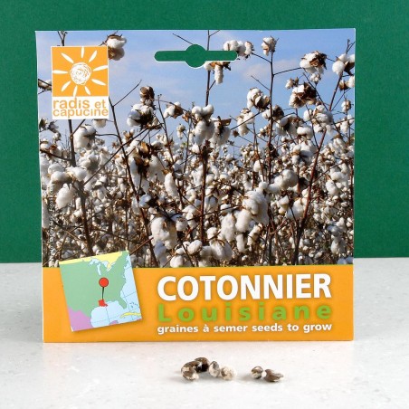 Graines de Cotonnier de Louisiane à semer en pot