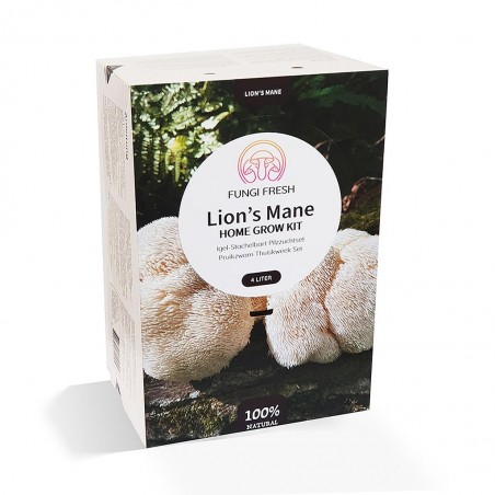 Kit champignon Chinois crinière de lion BIO