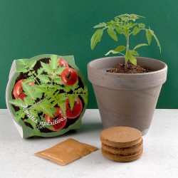 Basalt 13cm Terracotta Pot...