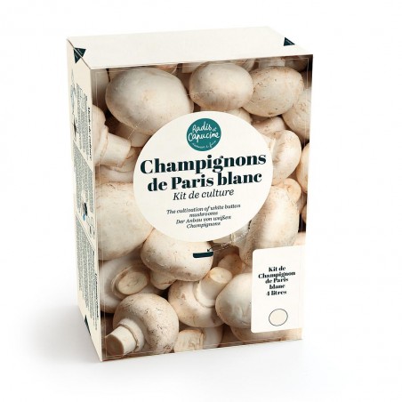 Champignons de Paris Blanc - 4L