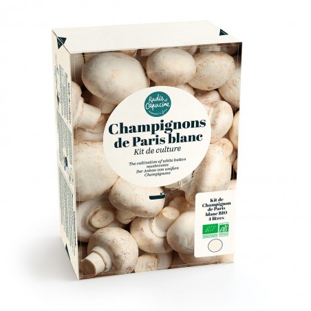 Kit Champignons de Paris Blancs Bio 4L