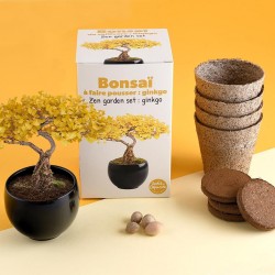 Bonsaï garden set Ginkgo