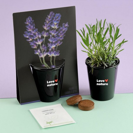 Kit de culture pot black 6 cm - Lavande