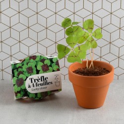 Mini kit jardinage trèfle 4...