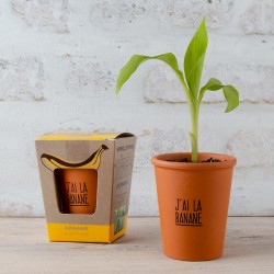 Kit de plantation message...