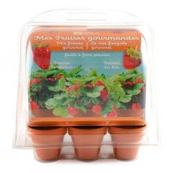 Serre jardinage enfants -...