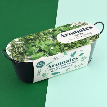 Planters / Balcony Planters - Herbs

