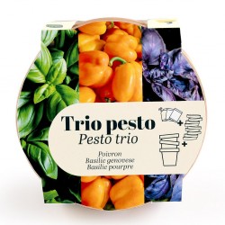 Trio de pots TC "Antique" -...