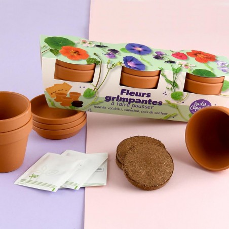 Kit jardinage fleurs grimpantes