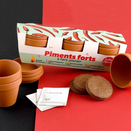 Kit jardinage piments – cultivez du doux au fort selon l’échelle de Scoville - TRIO
