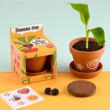 Pot 8 cm avec coupelle Bananier