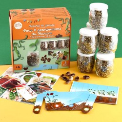 kit créatif germination du...