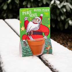 Père Noel et son Épicéa à...