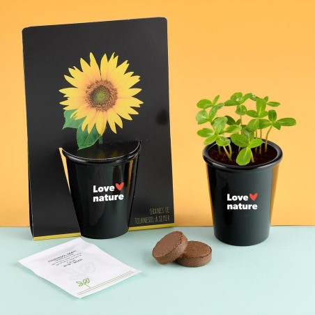 Kit de culture pot black 6 cm - Tournesol